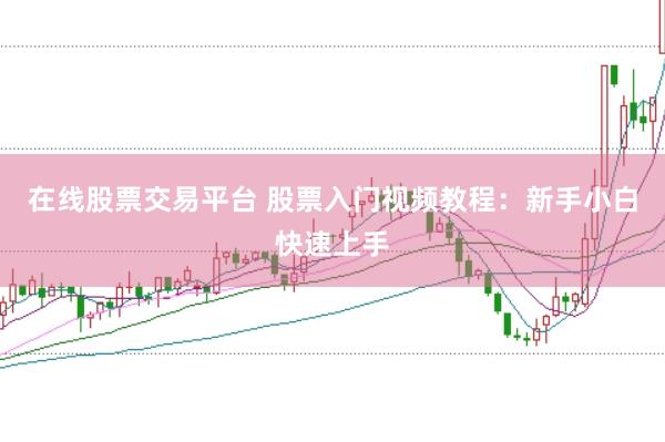 在线股票交易平台 股票入门视频教程：新手小白快速上手