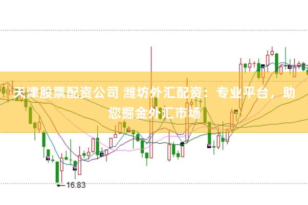 天津股票配资公司 潍坊外汇配资：专业平台，助您掘金外汇市场