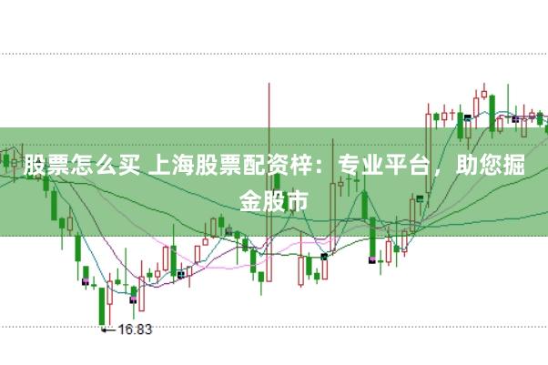 股票怎么买 上海股票配资梓：专业平台，助您掘金股市