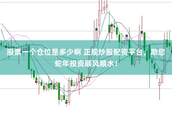 股票一个仓位是多少啊 正规炒股配资平台，助您蛇年投资顺风顺水！