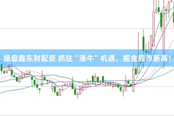 操盘鑫东财配资 抓住“涨牛”机遇，掘金股市新高！