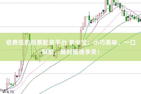 收费低的股票配资平台 掌中宝：小巧美味，一口酥脆，随时随地享受！