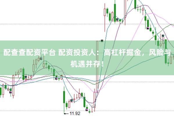 配查查配资平台 配资投资人：高杠杆掘金，风险与机遇并存！