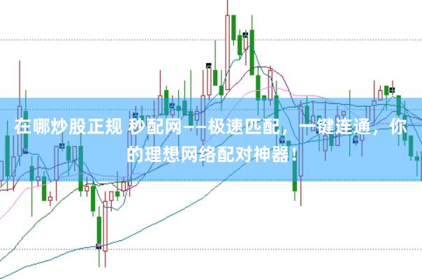在哪炒股正规 秒配网——极速匹配，一键连通，你的理想网络配对神器！