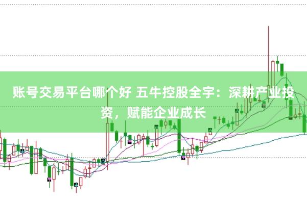 账号交易平台哪个好 五牛控股全宇：深耕产业投资，赋能企业成长