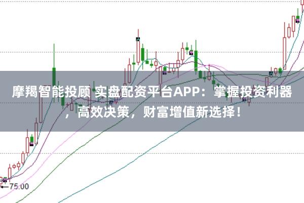 摩羯智能投顾 实盘配资平台APP:掌握投资利器,高效决策,财富增值新选择!