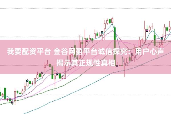 我要配资平台 金谷网盈平台诚信探究:用户心声揭示其正规性真相