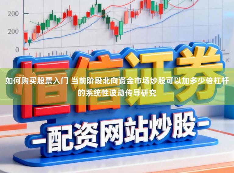 如何购买股票入门 当前阶段北向资金市场炒股可以加多少倍杠杆的系统性波动传导研究