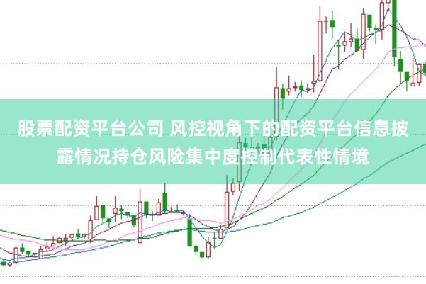 股票配资平台公司 风控视角下的配资平台信息披露情况持仓风险集中度控制代表性情境