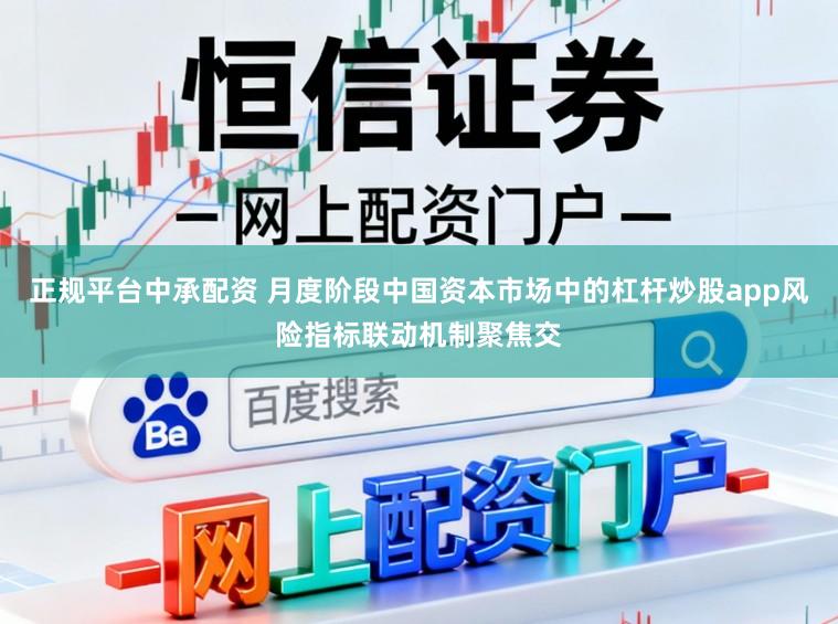正规平台中承配资 月度阶段中国资本市场中的杠杆炒股app风险指标联动机制聚焦交