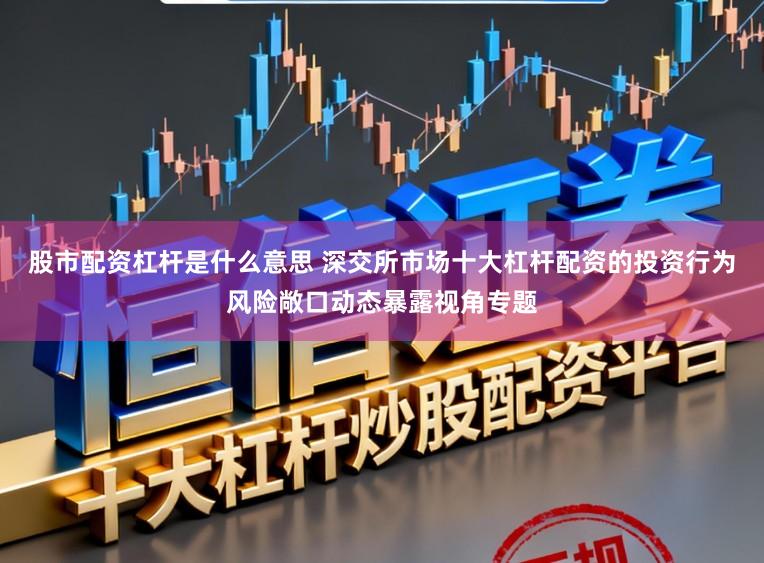 股市配资杠杆是什么意思 深交所市场十大杠杆配资的投资行为风险敞口动态暴露视角专题
