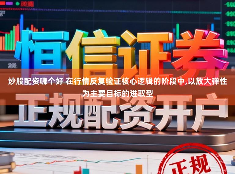 炒股配资哪个好 在行情反复验证核心逻辑的阶段中，以放大弹性为主要目标的进取型
