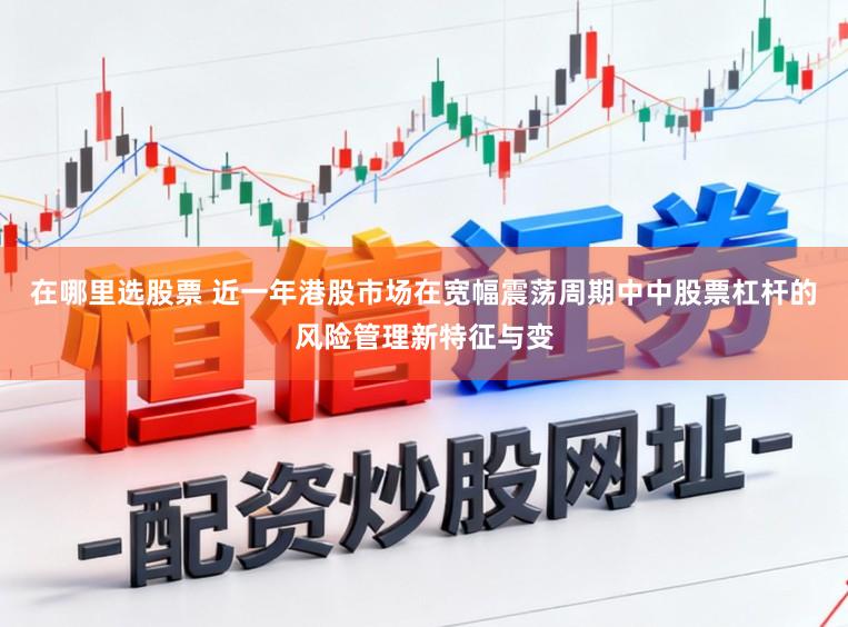 在哪里选股票 近一年港股市场在宽幅震荡周期中中股票杠杆的风险管理新特征与变