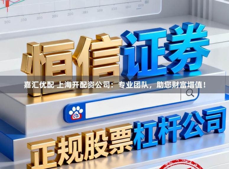 嘉汇优配 上海开配资公司：专业团队，助您财富增值！